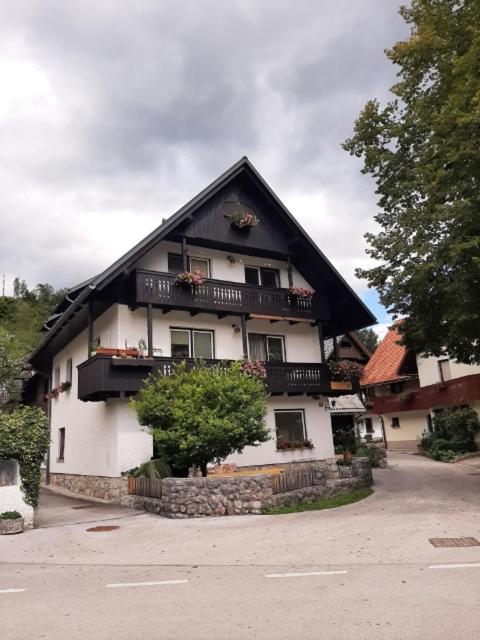 Apartma Kosnik Perunika ボーヒニ エクステリア 写真