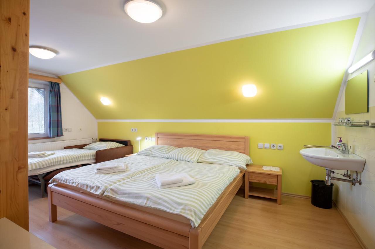 Apartma Kosnik Perunika ボーヒニ エクステリア 写真