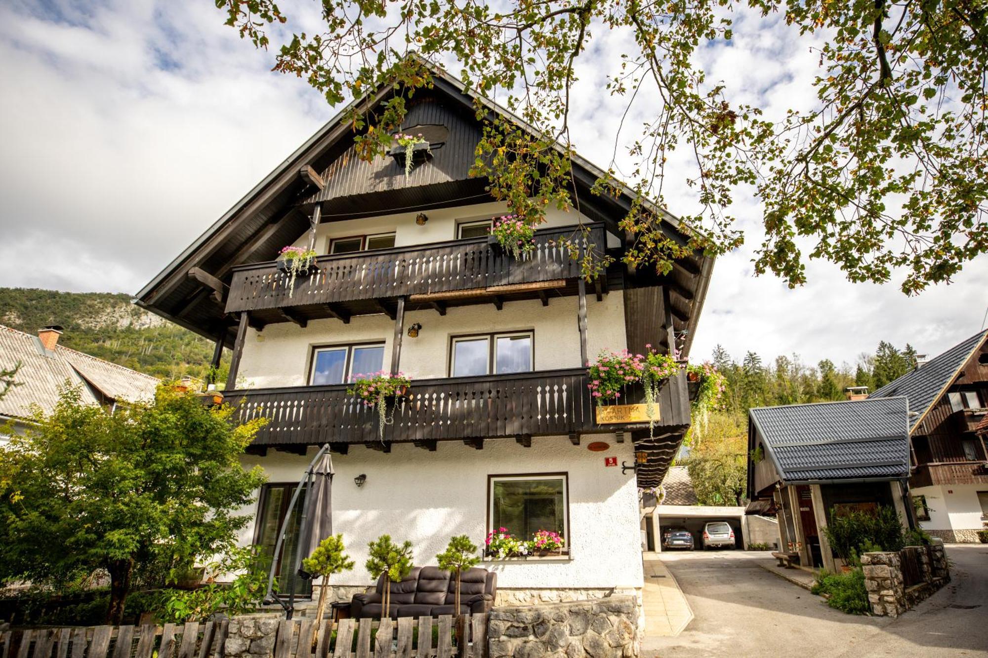 Apartma Kosnik Perunika ボーヒニ エクステリア 写真